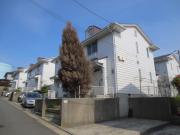 ビューテラス杉田D