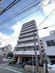 アミティ桜