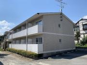 白川ベリタス