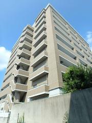 ＪＲ総武本線新小岩駅まで徒歩14分