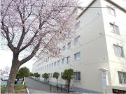 平岸ハウス