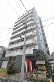Pine Well′s