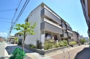 栖