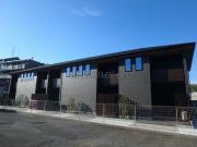 パールグレイス