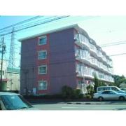 ドムス文光院