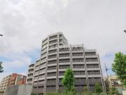 S-FORT中板橋