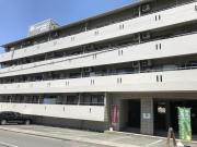 ロアールマンション新大江