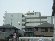 BELAIR江上