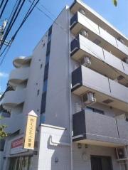 スプリングストーンM