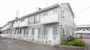セントポーリア葵B