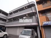 ARAX市場木