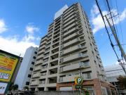 NEOダイキョー甲子園II
