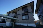 ステジュアンB