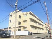 ノールボアーII