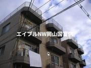 Wins津島