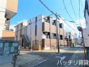 プリムローズ エムズ