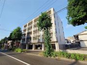 LiveFlat藤松