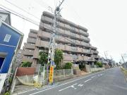ティーズ ガーデン柏