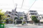 都営三田線蓮根駅まで徒歩11分