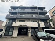 Betula澄川