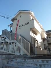 TARA天神