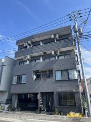 ライトステップス