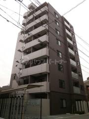 DIPS小竹向原