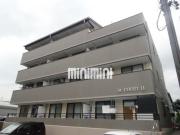 M-COURT11