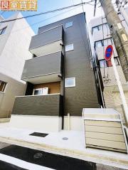 Anecis 橘