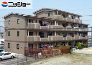 Y′s court 一ッ木