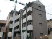 DUKE向台