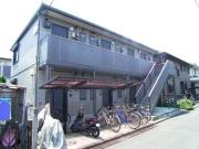 パーシモンM・S