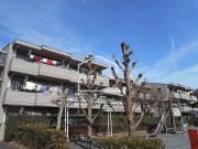 京王線府中駅まで徒歩20分