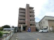 ラナ清水野