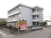 ビューラー田野倉