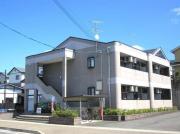 SAKURA COOP 宝