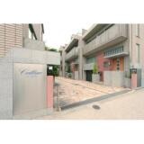 コリーヌ等々力