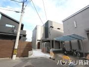 ルピナス笹原