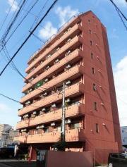 セザール名古屋