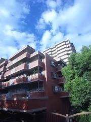 エバーグリーンポートアイランド