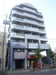 エーデルブルーメNo.12