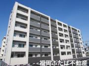 ELEVITA弥永