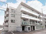 Highlight Fukuzumi