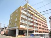 KAIZUKA REEPLEX R S