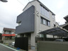 White Base