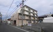 アムール