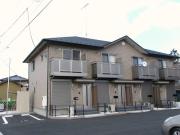 モッレ ドムス molle domus