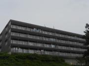ディアパーク杉田南