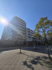 THE MIDLAND AVENUE i-Site