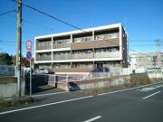シャロルM